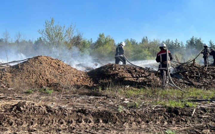 Пожежу сухої трави у Зоні відчуження локалізовано