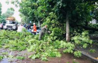 Житомиром прокотилася злива з градом, вітер ламав та виривав дерева і кущі 