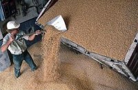 Украина с 1 апреля может ввести таможенные ограничения на экспорт зерна