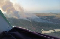 На Херсонщині рятувальники другий день гасять пожежу на території лісництва