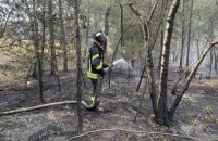 Пожежу в Луганській області вдалося локалізувати, - ДСНС