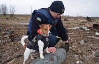 Пухнастий батальйон. Як тварини допомагають на війні