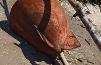 На одеському пляжі виявили два снаряди