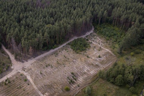 ДБР зацікавилося вирубкою лісу в Харківській області після візиту Зеленського