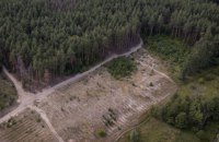 ГБР заинтересовалось вырубкой леса в Харьковской области после визита Зеленского