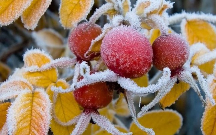 У більшості областей України у ніч на неділю очікують заморозки на ґрунті