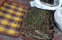 У жителя Донецкой области нашли чемодан конопли 