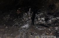 Самолет, который накануне упал на Киевщине, был изготовлен кустарным способом