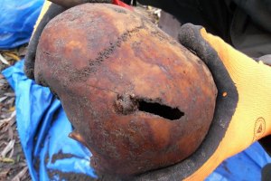 Польские ученые фальсифицируют историю, чтобы обвинить украинцев в расстреле евреев