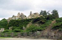 В киевском ботсаду появятся альпийские горы
