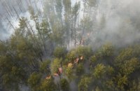 В Чернобыльской зоне отчуждения спасатели продолжают тушить три очага возгорания 