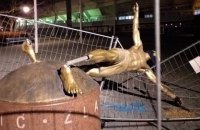 Cага о взаимоотношении фанов "Мальме" и Ибрагимовичем достигла апогея: фанаты повалили статую футболиста