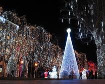 В Днепропетровске падает спрос на срубленные елки