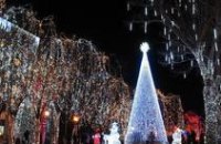 В Днепропетровске падает спрос на срубленные елки