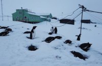 Возле станции "Академик Вернадский" выпало снега больше всего за последние 20 лет