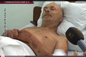В Крыму мужчину едва не загрызла стая бродячих собак