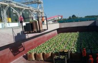 Баржа с арбузами пришвартовалась под Киевом