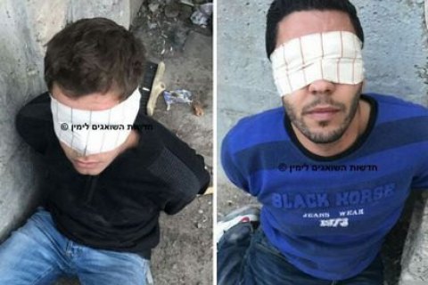 В Израиле арестованы подозреваемые в поджоге леса