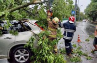 Под Киевом вследствие непогоды погиб человек
