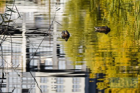 В четверг в Украине местами потеплеет до +22°, осадков не прогнозируют