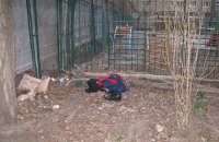 ДНК Поліщука та Медведька виявлено на покинутих біля місця вбивства Бузини речах
