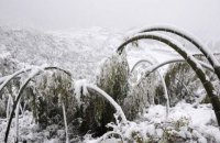 У Китаї через снігопади загинули тринадцять людей