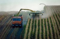 Аграрії розпочали збір ранніх зернових