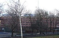 Шведская тюрьма прислала в суд не того обвиняемого