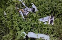 Через дронову атаку на Сумщині горіло пшеничне поле
