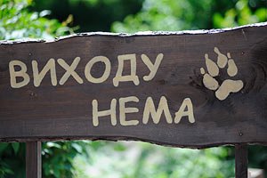 Из Киевского зоопарка вывозят животных