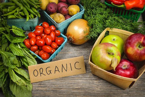 Кабмин открывает реестры органической продукции 