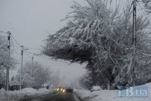 Во Львове уже господствует снежная буря