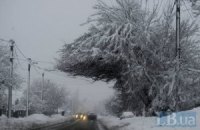 Во Львове уже господствует снежная буря