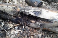 На прикарпатському тартаку в стовбурі дерева знайшли міну часів Другої світової війни