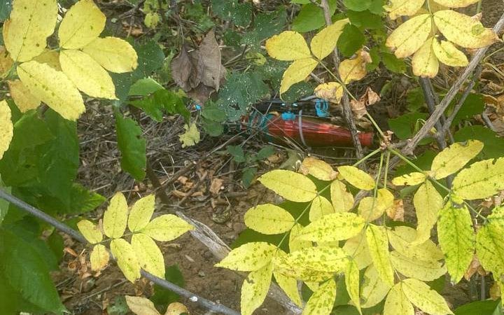 На Харківщині прикордонники збили ворожий дрон