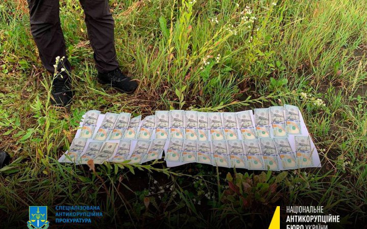 НАБУ перевіряє причетність народної депутатки до незаконної видачі дозволів на перетин кордону