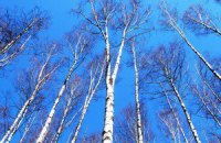 В понедельник по всей стране ожидаются кратковременные дожди