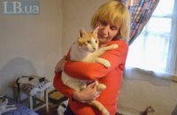 Котоматерь из Антрацита