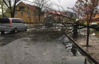 Из-за непогоды в Ивано-Франковской области погибли два человека, один пропал без вести