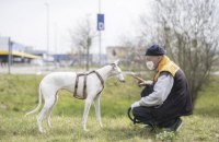 На Волині ввели спецрежим пересування на вихідних