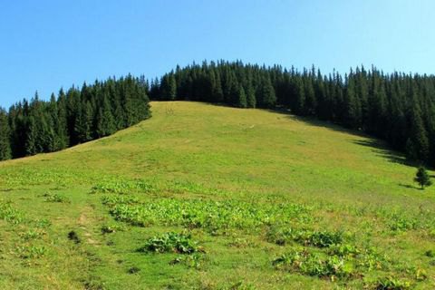 Туриста из Харькова убила молния в Карпатах