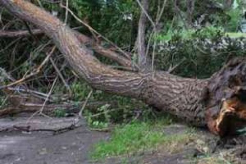 Во Львовской области обесточены ​35 населенных пунктов из-за непогоды