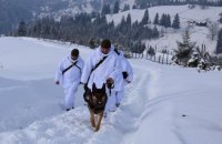 Пограничники ранили двух контрабандистов на границе с Румынией