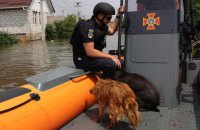 Головне за день. Четвер, 8 червня
