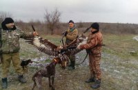 Керівництво поліції Одеси почало розслідування через фото співробітників з убитим червонокнижним беркутом