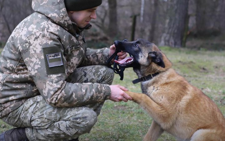 Прикордонники затримали чергових втікачів з України