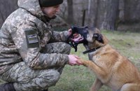 Прикордонники затримали чергових втікачів з України