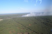 Пожар в Чернобыльской зоне потушили