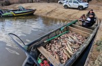 На водоймах України провели тисячі рейдів: вилучили майже 10 тонн незаконно виловленої риби