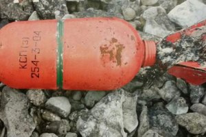 На островах Швеции нашли российские сигнальные патроны